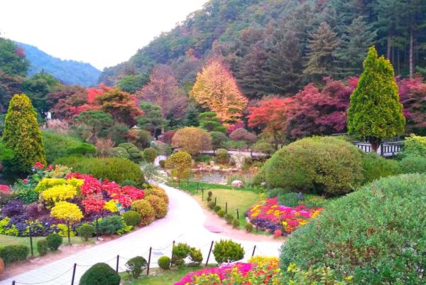 Korea – Nami Island (6H 5M)