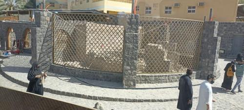 WhatsApp-Image-2022-03-13-at-11.28.06-PM-2